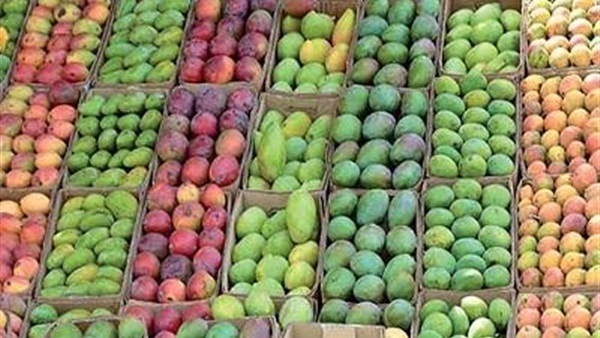 أسعار المانجو