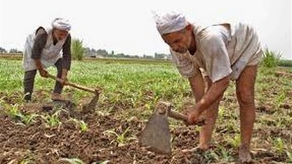 كارت الفلاح