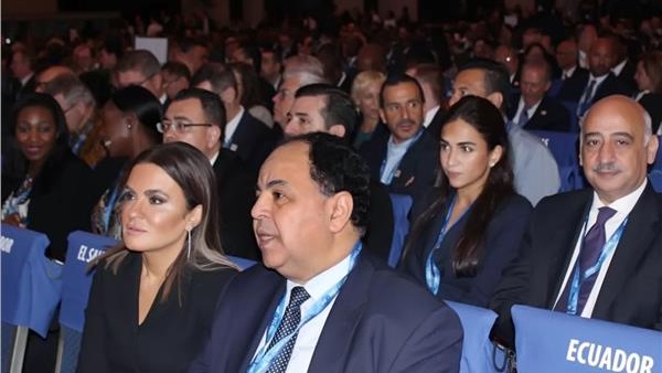الاستثمار والمالية