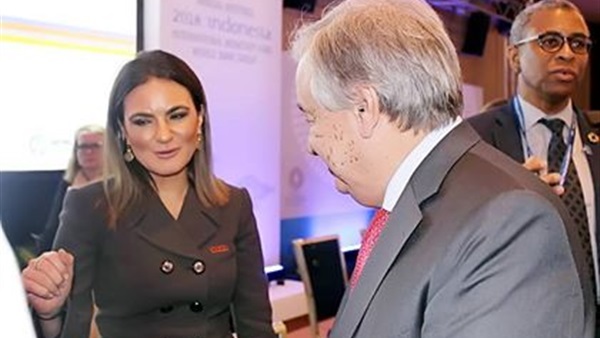 وزيرة الاستثمار والتعاون