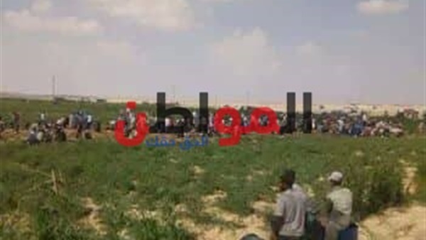 تسرب بترولي