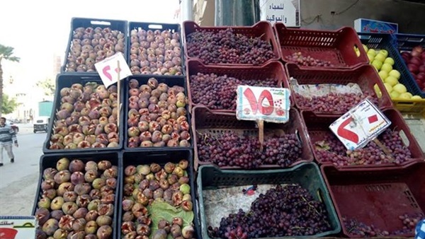 الإسكندرية تستاهل