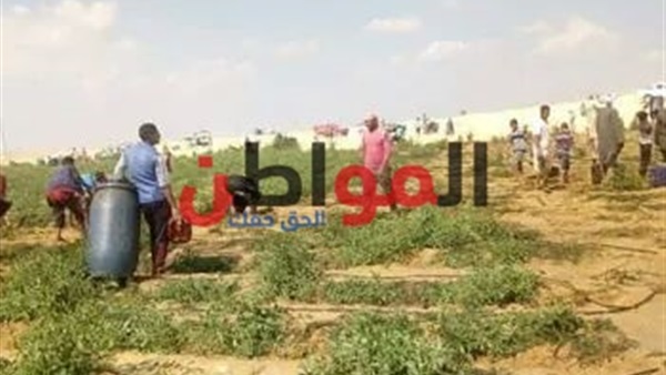 كسر خطوط البترول