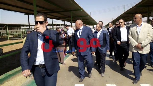 مشروعات مدينة الخارجة-الوادي