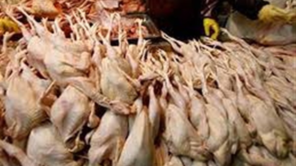 دواجن فاسدة