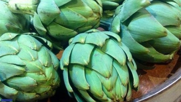 أطنان خرشوف منتهى