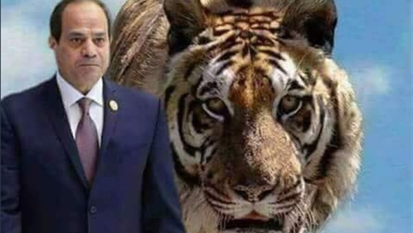 مصر بخير مع السيسي