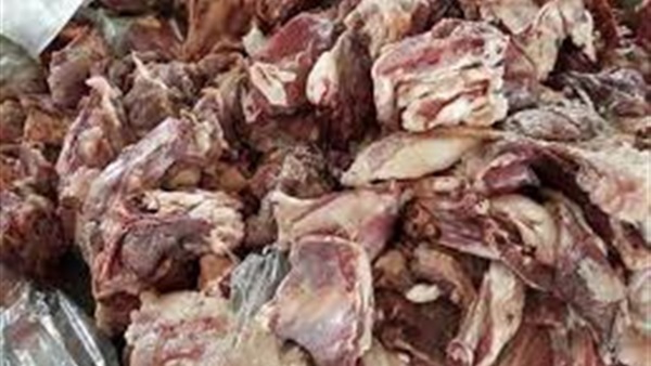 حملات الطب البيطري