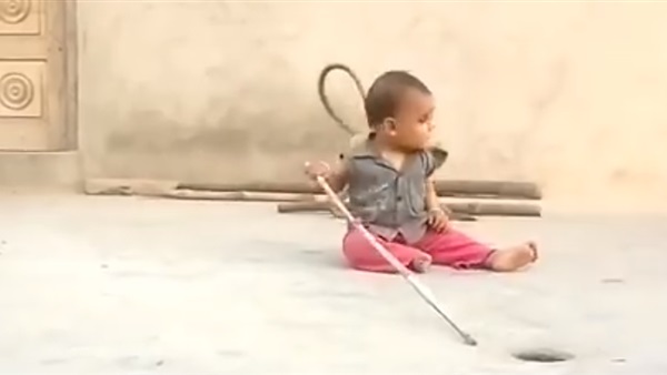 قرد يصيب طفل بالفزع
