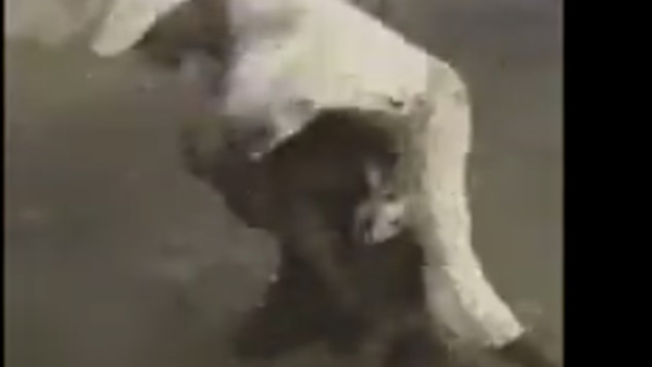 امرأة تضرب رجل