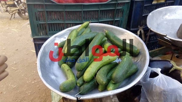 أسعار الخضراوات-أسواق