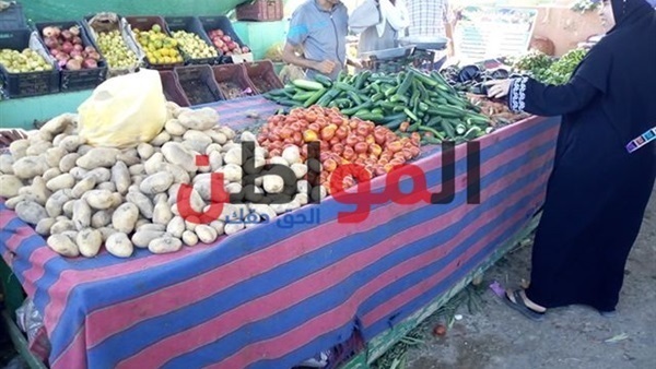 أسعار البطاطس في