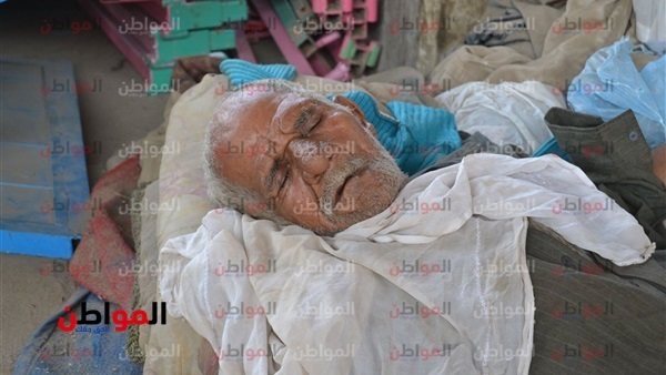 دور المسنين في مصر