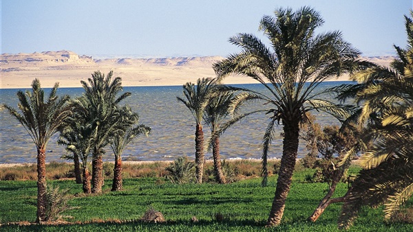 حالة الطقس فى الفيوم
