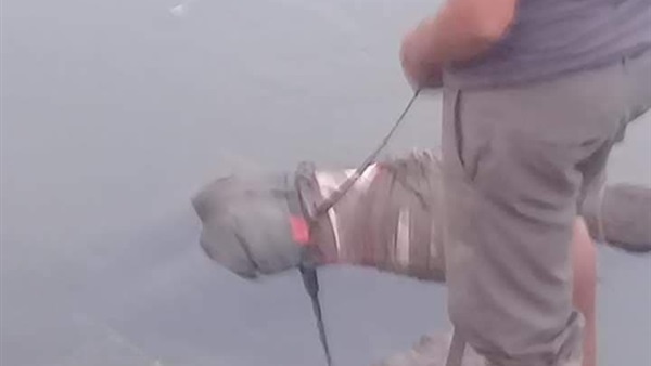 العثور على جثة بترعة
