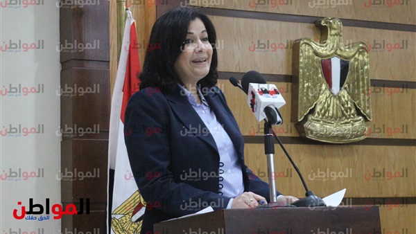 سمية الألفي ـ وزارة