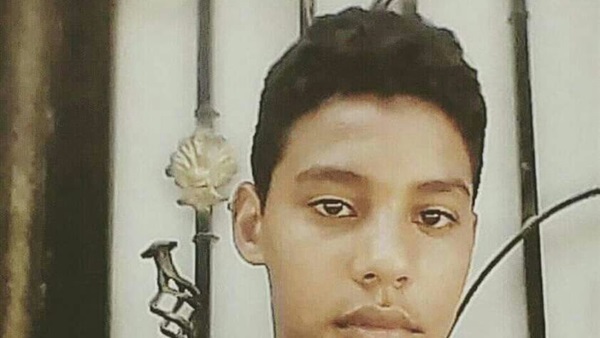 محمود محمد غازى غباشى