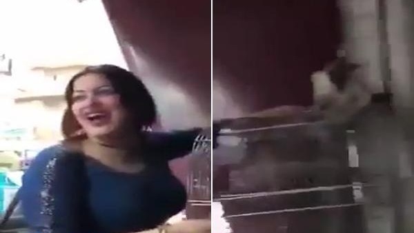 القبض على سيدة بالدقهلية
