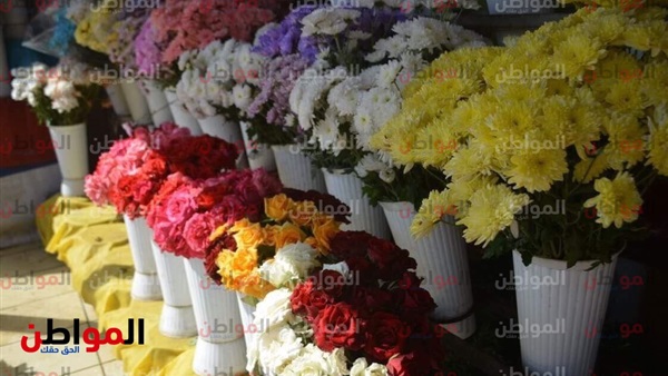 أسعار الورد في مصر