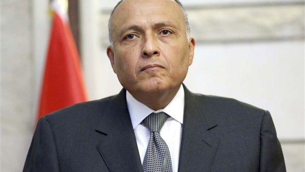 سامح شكرى وزير الخارجية