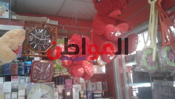 أسعار الدباديب في