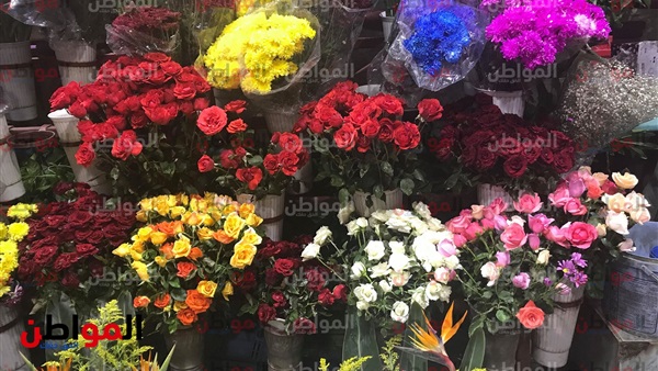 عيد الحب المصرى