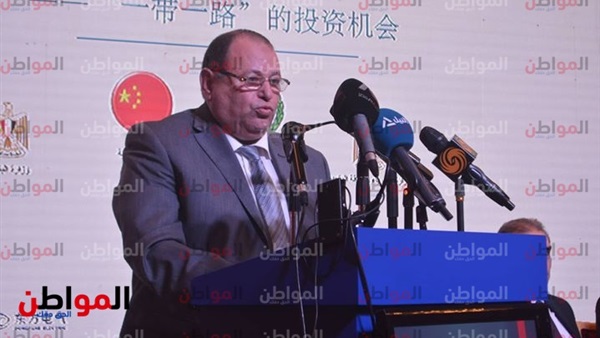 نائب وزير الكهرباء