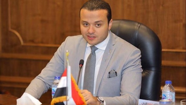المهندس محمد الجارحى