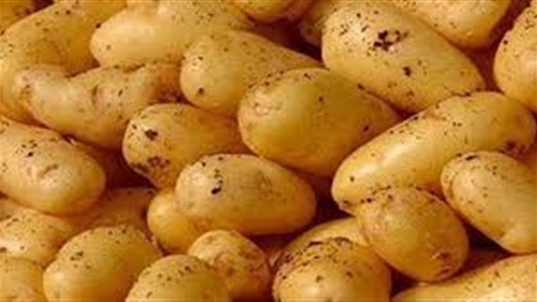 اسعار البطاطس