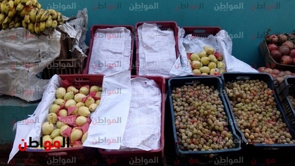 أسعار الخضراوات والفاكهة