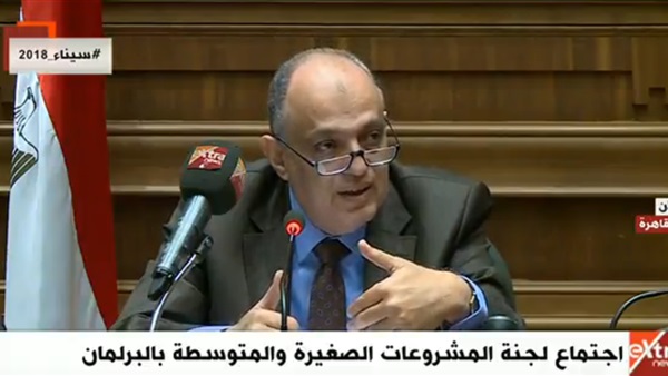 لجنة المشروعات الصغيرة