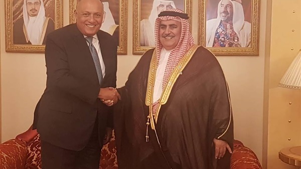 شكرى ونظيره البحريني