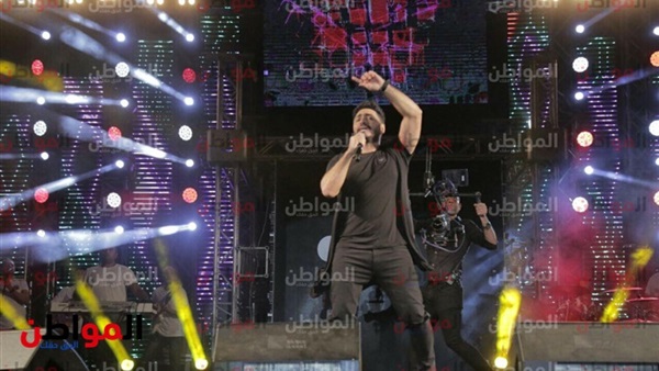 تامر حسنى