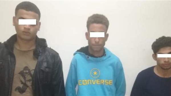 المواطن