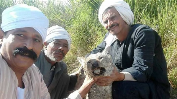 ألفاظ احتكرها أهل