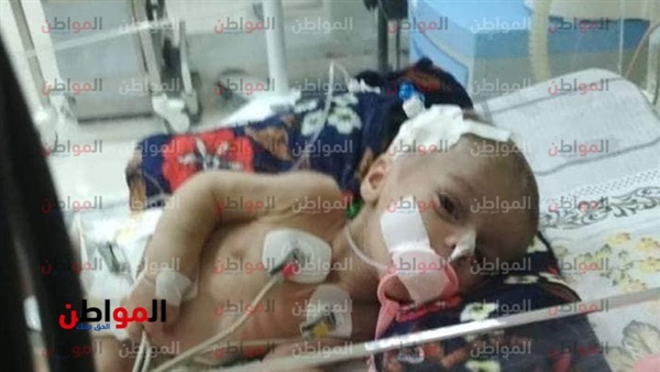 المواطن