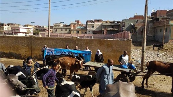 قافلة بيطرية