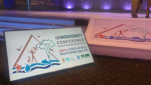 شرم الشيخ تستعد لمؤتمر
