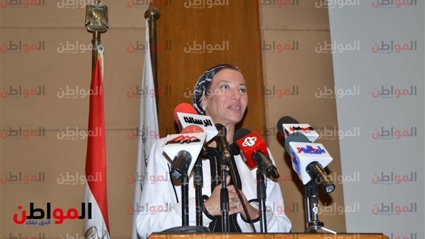 ياسمين فؤاد وزيرة