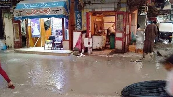 المواطن