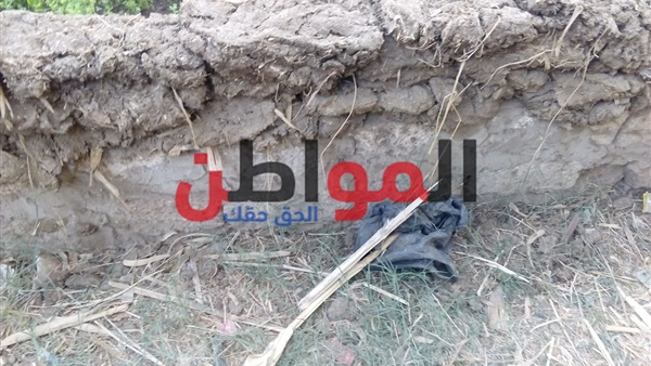 فضلات الحيوانات