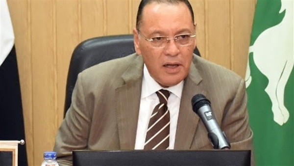 محافظ الشرقية