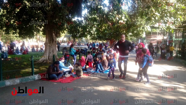 المحشي أساسيات المواطنين