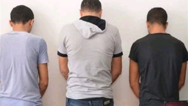 تشكيل عصابي بالبحيرة