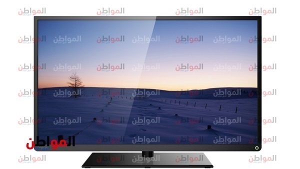 المواطن