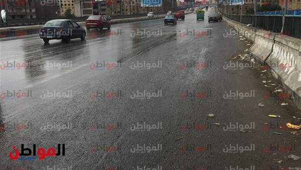 المواطن