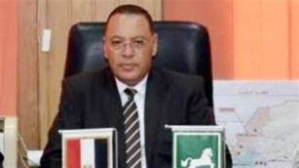 محافظ الشرقية