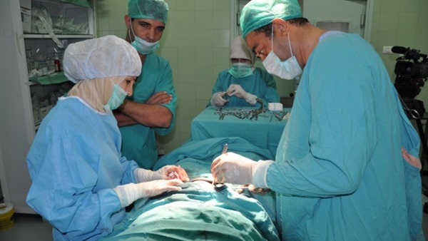ماذا تحتاج الأم بعد