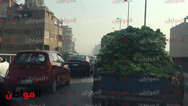 المواطن
