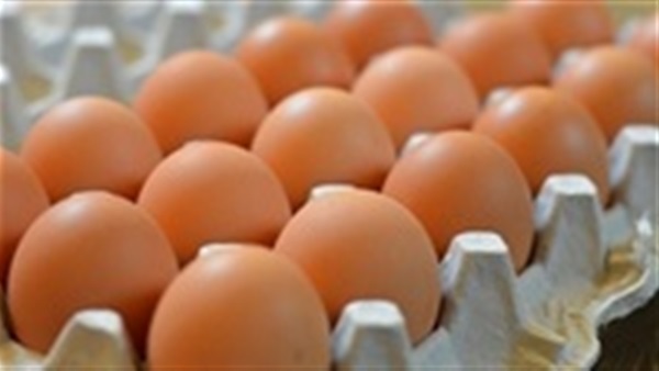 اسعار البيض